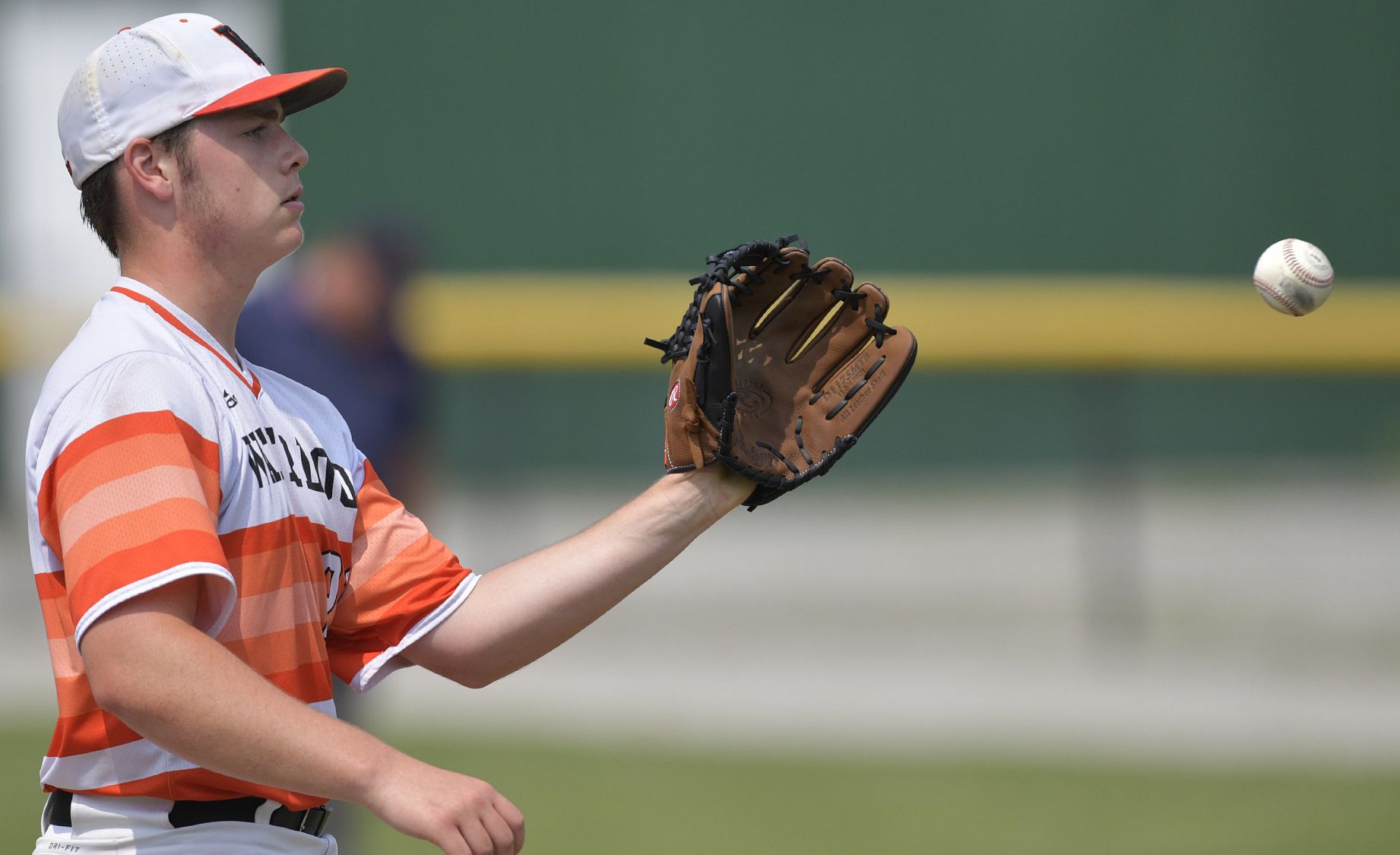 Waterloo defeats Carbondale in 3A Salem Sectional baseball final